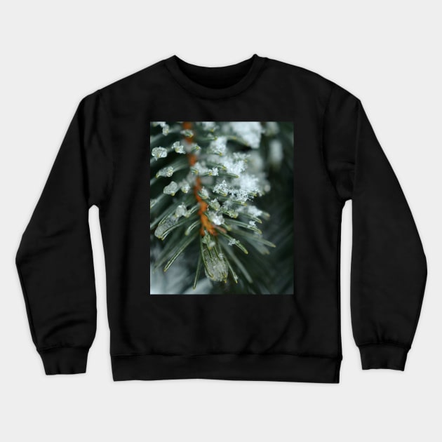 Pine Crewneck Sweatshirt by LaurenGalanty